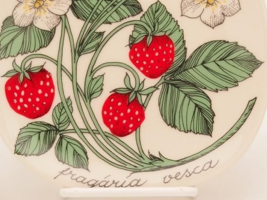ARABIA/アラビア Botanica/ボタニカ fragaria vesca(野イチゴ