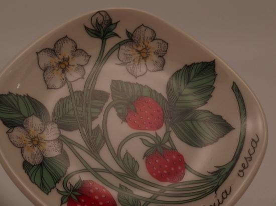 ARABIA/アラビア Botanica/ボタニカ fragaria vesca(野イチゴ