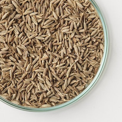 sunya - CUMIN SEED/ߥ󥷡