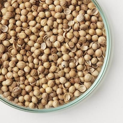 sunya - CORIANDER SEED/ꥢ