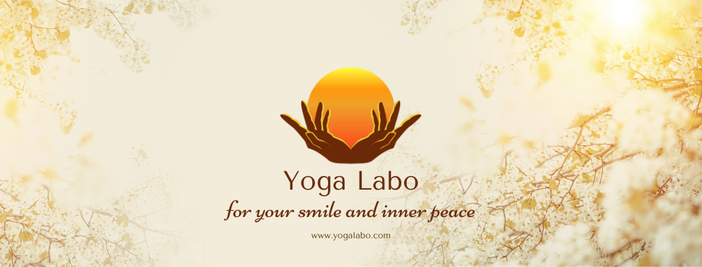 Yoga Labo�����󥰥�ɥܥ륹�����Υ襬��ܡ�