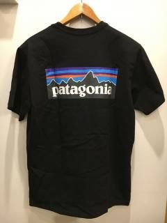 patagonia ѥ˥ P-6 Logo Responsibili-Tee P-6ݥåT