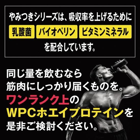 SAVE プロテイン やみつきベリーベリーミックス風味 1kg WPC SAVE プロテイン やみつきベリーベリーミックス風味 1kg WPC