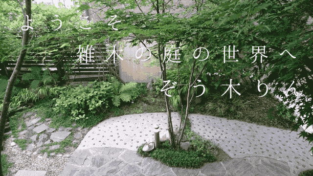 手間いらずな木 ナチュラルな日本の里山に自生する雑木