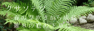 ڤβ˥ƥ