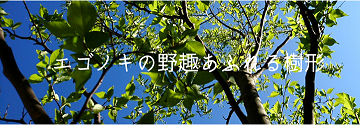 Υʤβ