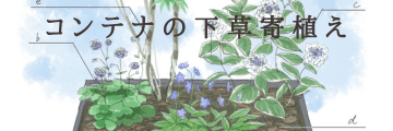 ٥ǥǻڤ뤫鸫륳ƥʥǥ
