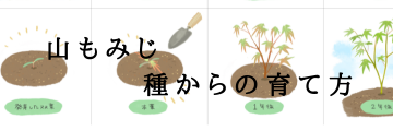 ߤμޤȰʥ饹Ȥȼ̿ǸＬڤޤǤĹ