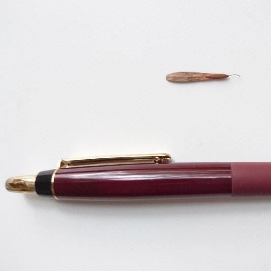 レア商品 アオダモ種子（100粒）殆ど流通のないレア商品です