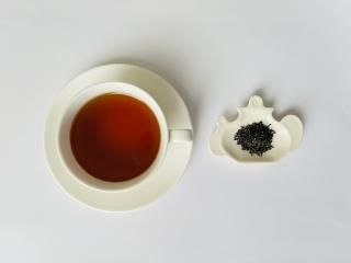 NEW2025ǯ ե ˥塼Х FBOP ꡼ 25g