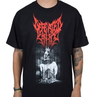 DEFEATED SANITY True To Sickness, Tシャツ