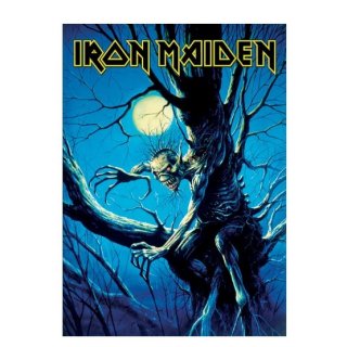 IRON MAIDEN Fear Of The Dark, ݥȥ