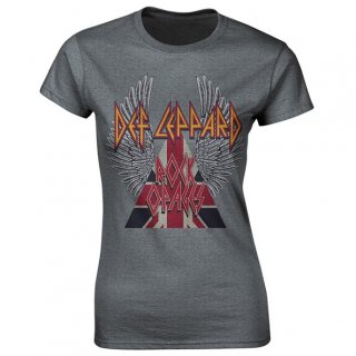DEF LEPPARD Rock Of Ages, ǥT