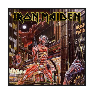 IRON MAIDEN Somewhere Back In Time, ѥå<img class='new_mark_img2' src='https://img.shop-pro.jp/img/new/icons5.gif' style='border:none;display:inline;margin:0px;padding:0px;width:auto;' />