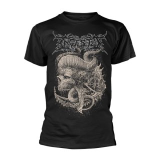 INGESTED Fatalist, Tシャツ