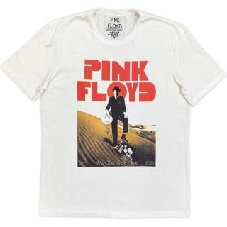 PINK FLOYD Invisible Man, T�����