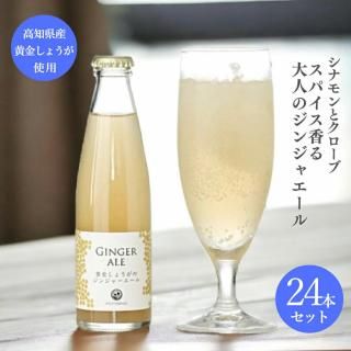 ⤷礦Υ󥸥㡼24ܥå