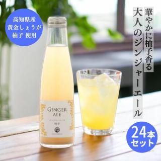 生姜・ジンジャーエール - とささとプロジェクト