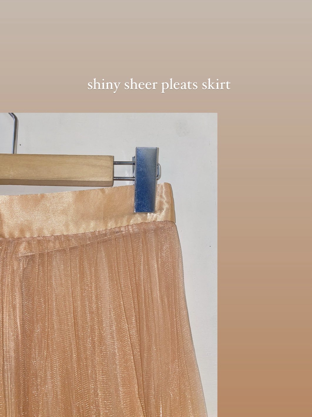 shiny sheer pleats skirt