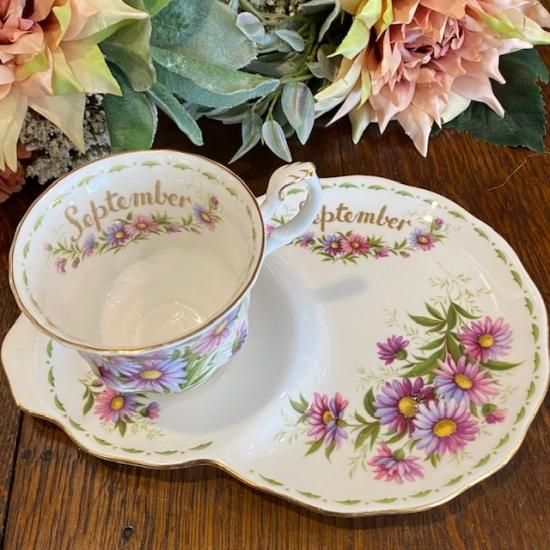 イギリス ROYAL ALBERT(ロイヤルアルバート) MICHAELMAS DAISY