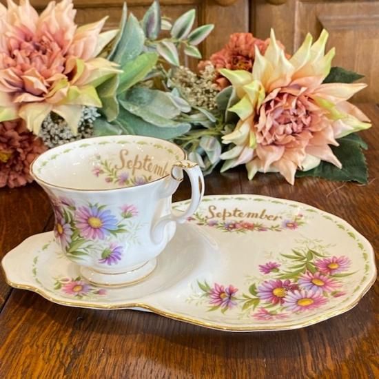 イギリス ROYAL ALBERT(ロイヤルアルバート) MICHAELMAS DAISY