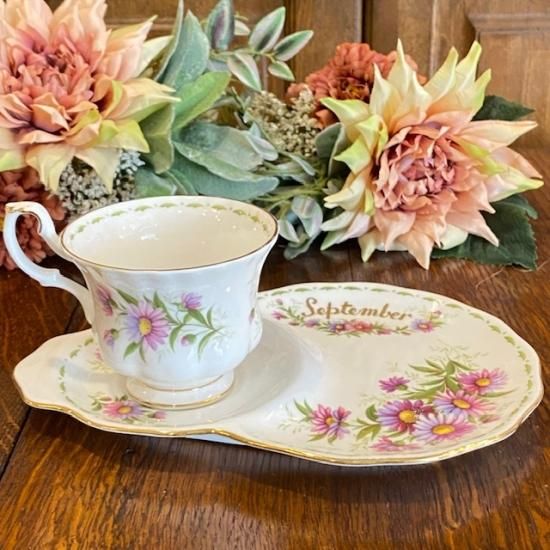 イギリス ROYAL ALBERT(ロイヤルアルバート) MICHAELMAS DAISY