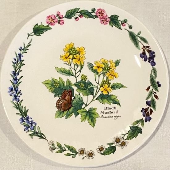 イギリス Royal Worcester(ロイヤルウースター) Black Mustard イギリス Royal Worcester(ロイヤルウースター) Black Mustard