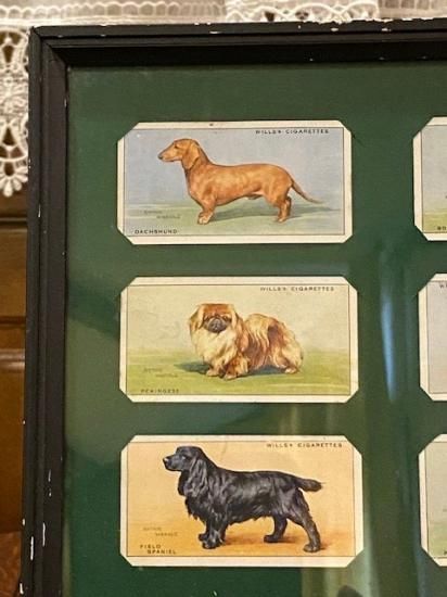 イギリス シガレットカード ガラス額 犬 グリーン イギリス シガレットカード ガラス額 犬 グリーン