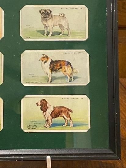 イギリス シガレットカード ガラス額 犬 グリーン