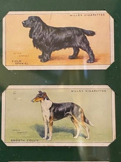 イギリスアンティーク 犬 シガレットカード22枚セット - メルカリ