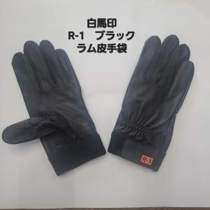 ϰ׼ޡR-1֥å