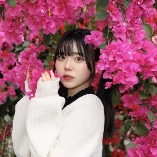 <img class='new_mark_img1' src='https://img.shop-pro.jp/img/new/icons14.gif' style='border:none;display:inline;margin:0px;padding:0px;width:auto;' />ͤҤޤΥȡ¿ؼեꥢ Ʋ 2025.6.21()