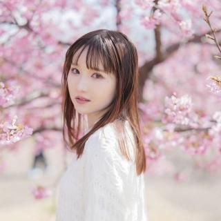 <img class='new_mark_img1' src='https://img.shop-pro.jp/img/new/icons29.gif' style='border:none;display:inline;margin:0px;padding:0px;width:auto;' />ݤ䤫ӱؼաʻ۲ֻơ / ԡꥢ 2025.6.19()