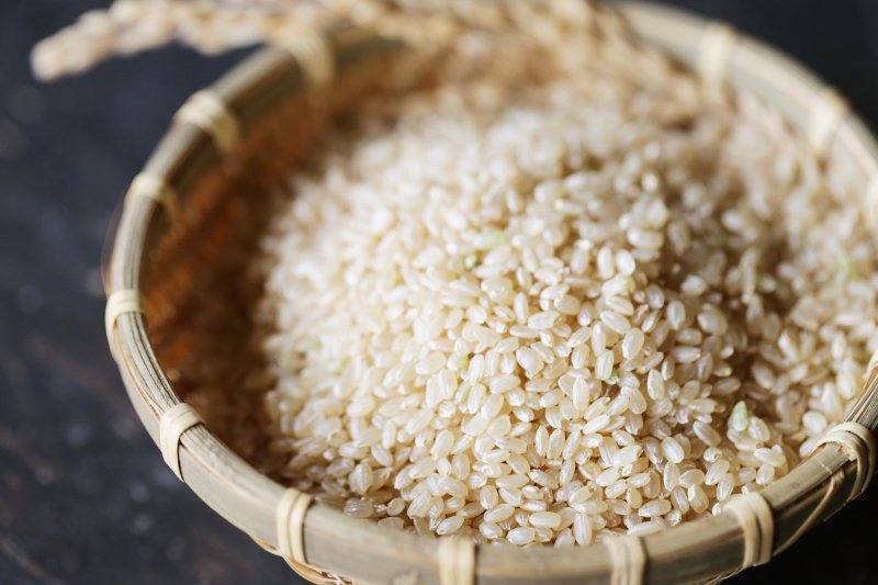 あわくら源流米　玄米