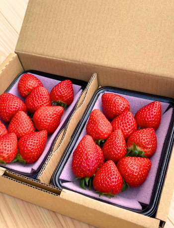 ご自宅用パック