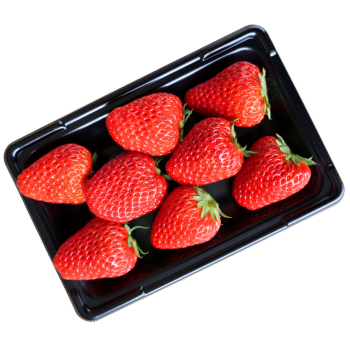 厳選 完熟いちご 通常パック(ファミリー向け)