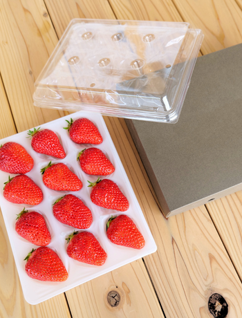 いちご専用包装