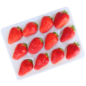 厳選大粒 完熟いちご 専用パック(贈答向け)