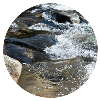 水へのこだわり