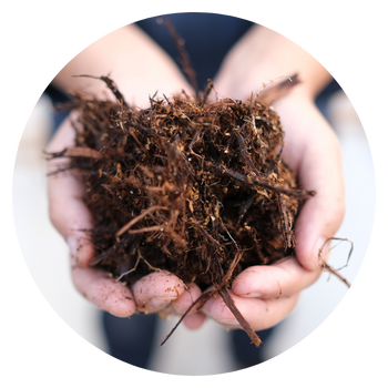 土へのこだわり