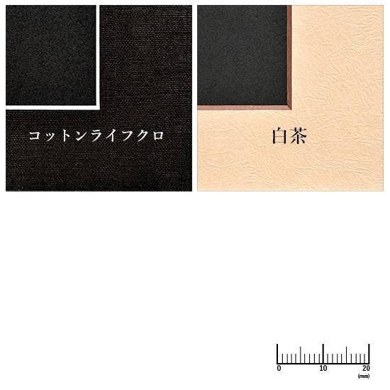 ジャケットサイズ中枠 2L×2（角／右上斜め）416