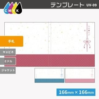   ǥ̿ 껥 3UV-09L