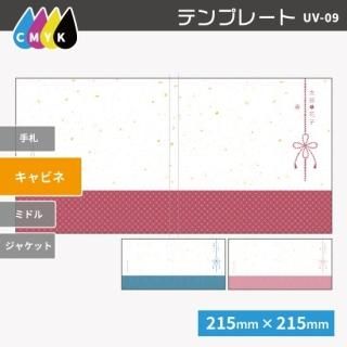   ǥ̿ ӥͥ 3 UV-09K