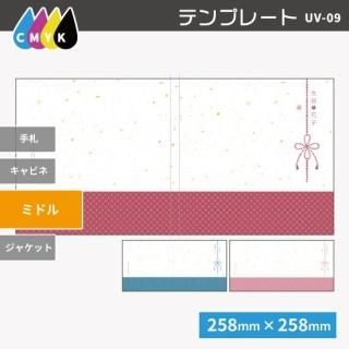   ǥ̿ ߥɥ륵 3 UV-09M