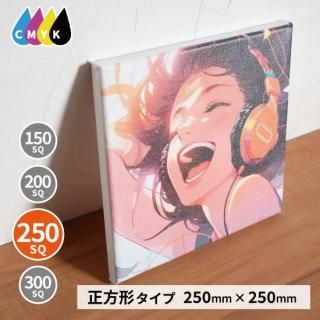 Ρ֥ɥХץ 250SQ <img class='new_mark_img2' src='https://img.shop-pro.jp/img/new/icons61.gif' style='border:none;display:inline;margin:0px;padding:0px;width:auto;' />