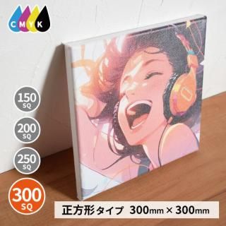 Ρ֥ɥХץ 300SQ 