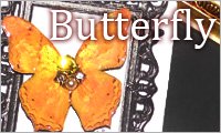 Butterfly / 蝶アクセサリー・雑貨