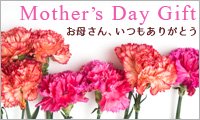 母の日ギフト / mother's day