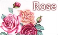 Rose / バラ雑貨・アクセサリーArt