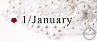 1 / January / ͥå / 